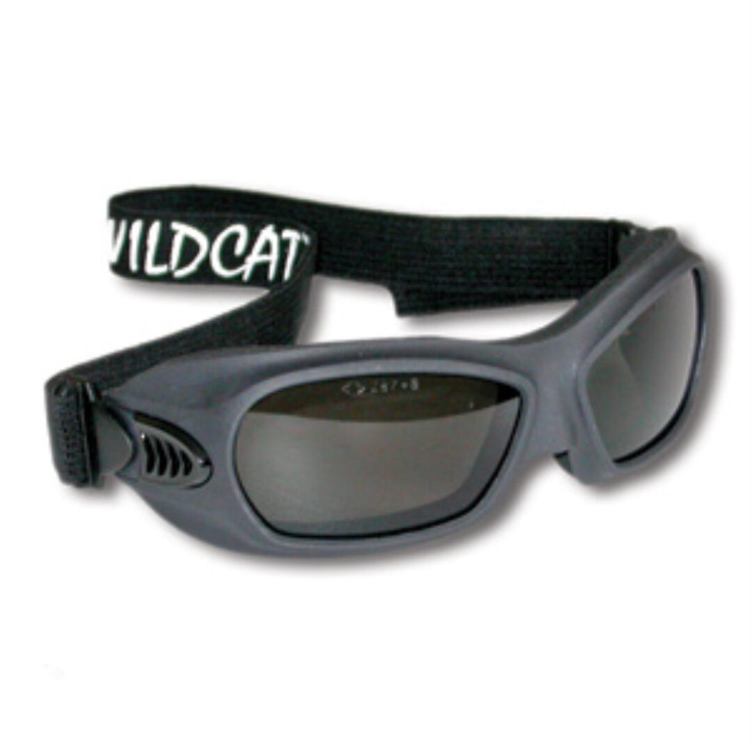 Wildcat Wildland Goggle